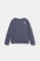 The North Face bluză copii TEEN SIMPLE DOME CREW NF0A8AXYBTR1 albastru AW25