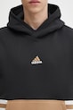 adidas Originals bluza Archive Hoodie JY2797 czarny