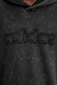 adidas Originals bluză Wsh Hoodie JY2792
