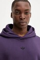adidas Originals bluza bawełniana Grfx Hoodie fioletowy JY2729