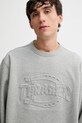 Dickies bluza DK0A88Q4 szary