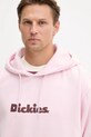 Dickies bluza DK0A87NP różowy