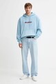Dickies bluza DK0A87NP niebieski AW25