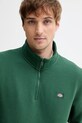 Dickies bluza zielony DK0A4XD4