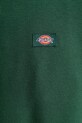 Dickies bluza DK0A4XD4 zielony