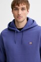 Кофта Dickies фіолетовий DK0A4XCD