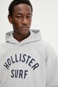 Hollister Co. bluza szary KI322.5388.122