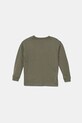 Chłopiec Calvin Klein Jeans longsleeve bawełniany IB0IB02354.9BYA zielony