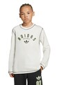 Момче Детска блуза с дълги ръкави adidas Originals JX5271 бял