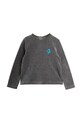 Mini Rodini longsleeve dziecięcy Clover 25720113 szary AW25