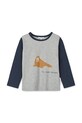 Liewood longsleeve bawełniany dziecięcy Apia Placement Longsleeve T-shirt LW20213.9BYA szary AW25