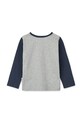 Chłopiec Liewood longsleeve bawełniany dziecięcy Apia Placement Longsleeve T-shirt LW20213.9BYA szary