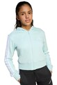 adidas trening copii JN2438