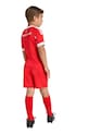 adidas Performance compleu copii FC Bayern Munich JN8510