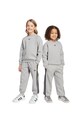 Otroška trenirka adidas Originals Pletenina siva JV5981