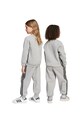 Otroška trenirka adidas Originals JV5981