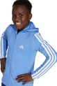adidas trening copii JW3401