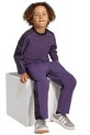 Παιδική φόρμα adidas Originals JX0549 μωβ