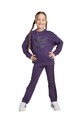 Детский спортивный костюм adidas Originals JY3744
