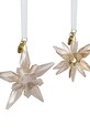 Salon i sypialnia Swarovski dekoracja wisząca ANNUAL 2-pack 5701824 transparentny