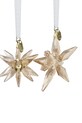 Swarovski dekoracja wisząca ANNUAL 2-pack 5701824 transparentny