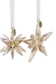Swarovski dekoracja wisząca ANNUAL 2-pack 5701824 transparentny