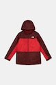 Dětská bunda The North Face B FREEDOM INSULATED JACKET přechodné červená NF0A88TZDI91