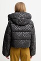Odzież Pinko kurtka 105438.A2PY czarny