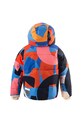 Chłopiec Gosoaky kurtka dziecięca DRAGON EYE 252.9.1.537.K multicolor