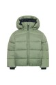 Παιδικό μπουφάν Didriksons ROXEN KIDS JACKET 505811.9BYA πράσινο AW25