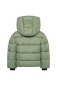 Αγορίστικα Παιδικό μπουφάν Didriksons ROXEN KIDS JACKET 505811.9BYA πράσινο