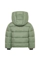 Chłopiec Didriksons kurtka dziecięca ROXEN KIDS JACKET 505811.9BYA zielony