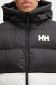 Helly Hansen kurtka ACTIVE czarny 54482
