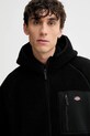 Dickies bluza polarowa czarny DK0A87NV