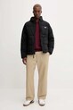Куртка Dickies DK0A87OG чорний AW25