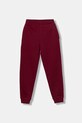 Детские спортивные штаны Polo Ralph Lauren 323962123009 бордо AW25