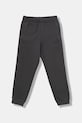 Дитячі спортивні штани EA7 Emporio Armani гладкий сірий 7B000163.AF10368