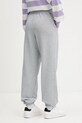 Одяг Спортивні штани Tommy Jeans DW0DW20994 сірий
