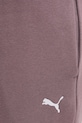 Спортивные штаны Puma фиолетовой 682467