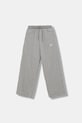 Дитячі спортивні штани adidas Originals JX2781 сірий AW25