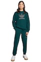 Otroška bombažna trenirka adidas Originals JV8579