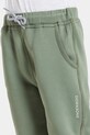 Didriksons pantaloni SILJAN KIDS PNT 505901.9BYA verde