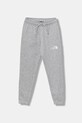 Παιδικό φούτερ The North Face TEEN REGULAR TAPERED JOGGERS πλεκτό ύφασμα γκρί NF0A8BHTDYX1