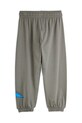 Chłopiec Mini Rodini spodnie dresowe bawełniane dziecięce Dino 25730140 szary