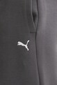 Спортивні штани Puma сірий 632067