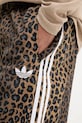 Спортивні штани adidas Originals Leo JV7563 коричневий
