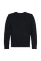 Βαμβακερό πουλόβερ Polo Ralph Lauren 323702674061 μαύρο AW25