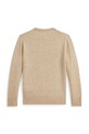 Polo Ralph Lauren sweter wełniany dziecięcy 323951349008 beżowy AW25