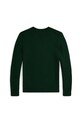 Αγορίστικα Παιδικό βαμβακερό πουλόβερ Polo Ralph Lauren 323978393001 πράσινο