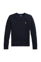 Свитер Polo Ralph Lauren 313901316009 тёмно-синий AW25